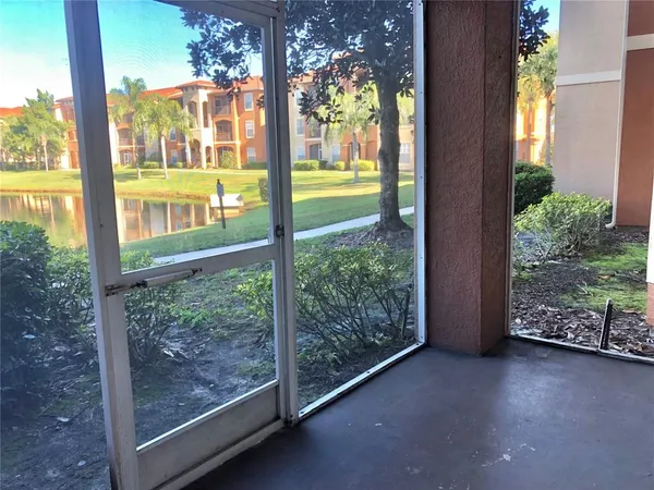 a view of a garden from a window
