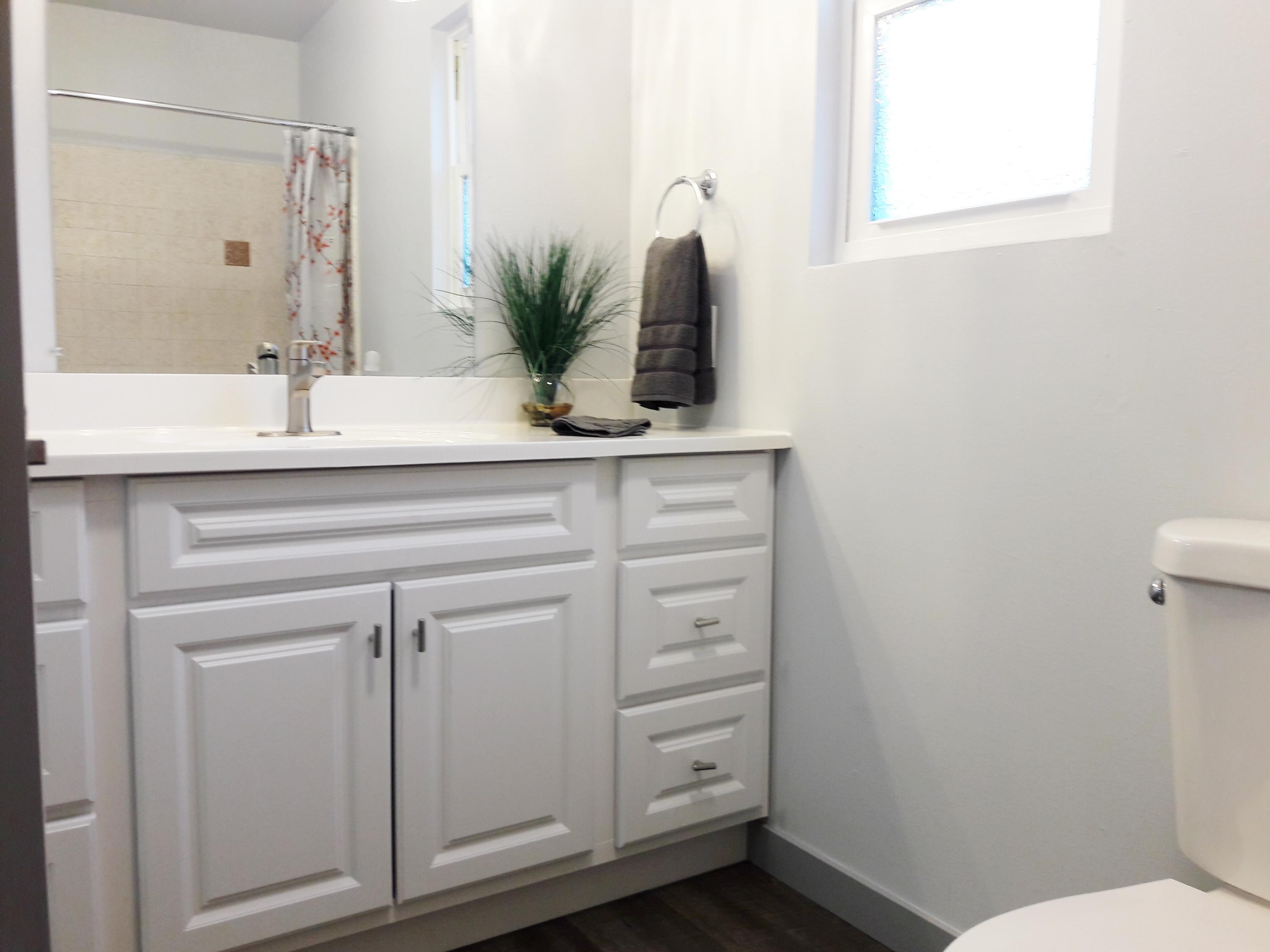 1610 Canyon Road Redding, CA 96001 - Photo 23 of 41 a bathroom with a sink and a mirror