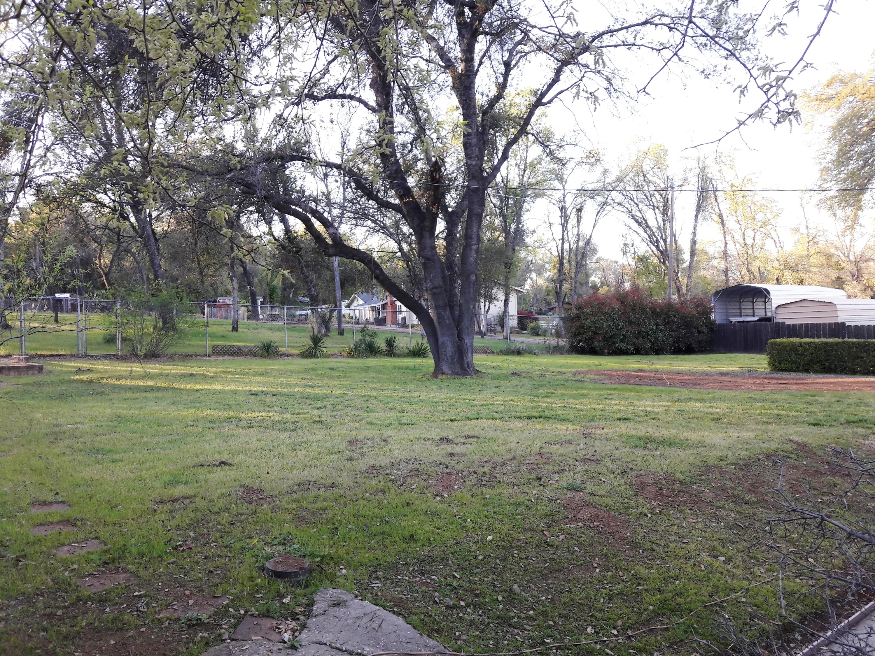 1610 Canyon Road Redding, CA 96001 - Photo 35 of 41 a view of a field with trees