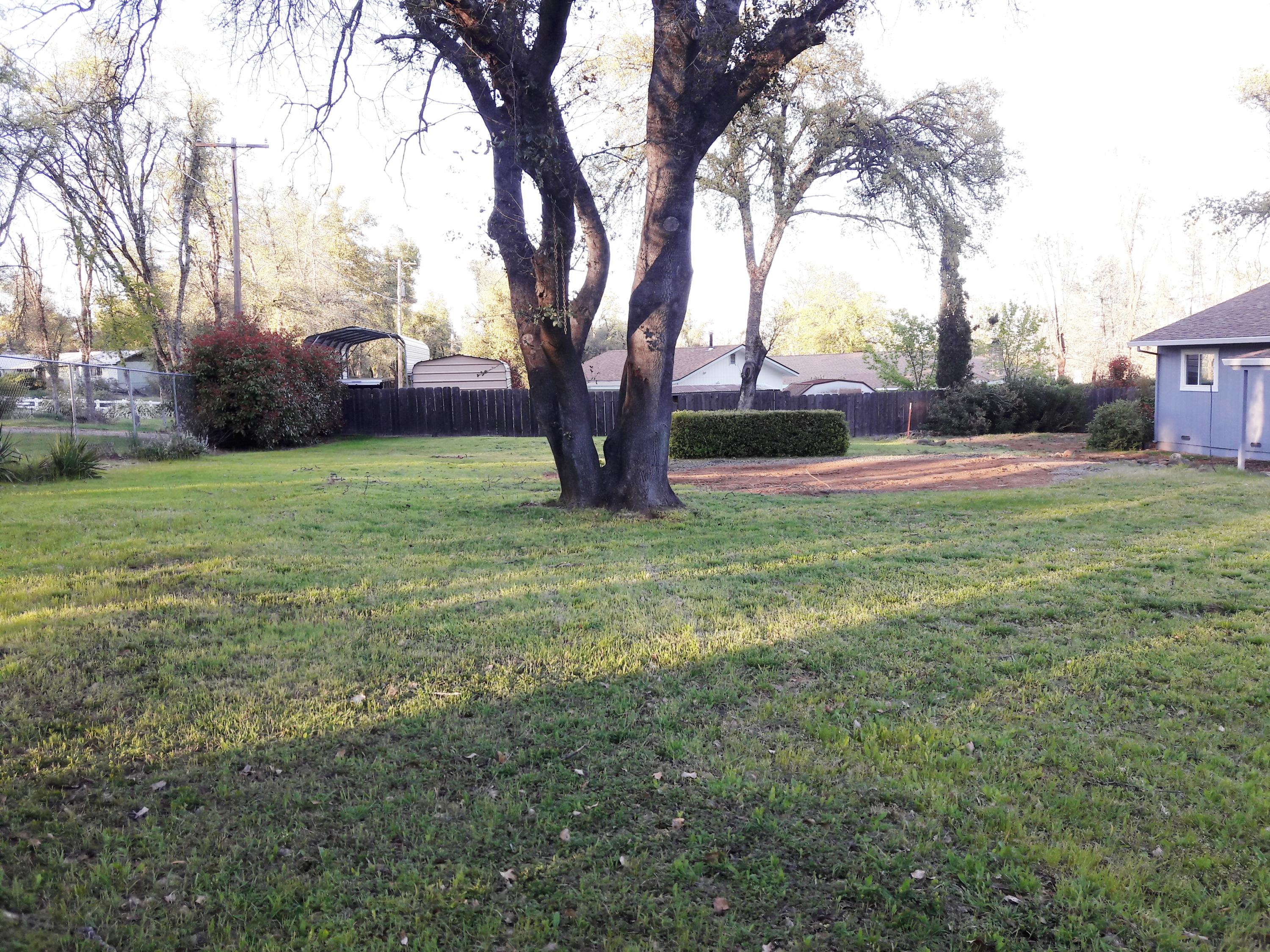 1610 Canyon Road Redding, CA 96001 - Photo 36 of 41 a view of a backyard with large trees