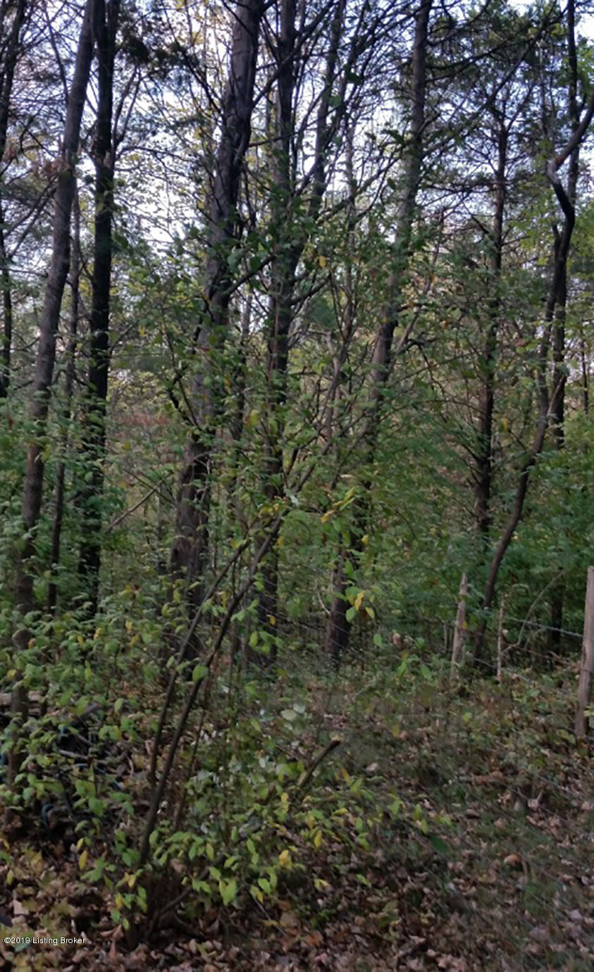 6019 Chenoweth Run Road Louisville, KY 40299 - Photo 10 of 23 6019-3
