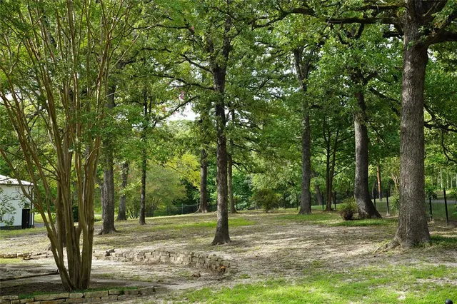 a view of a tree in the middle of a yard