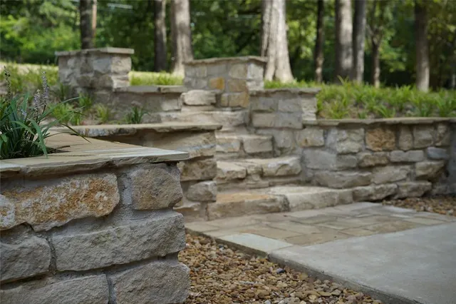 a view of a garden with plants