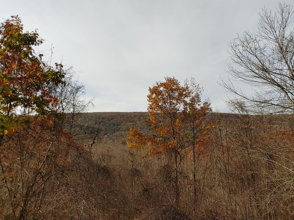 64 Smith Road Worthington, MA 01098 - Photo 4 of 15