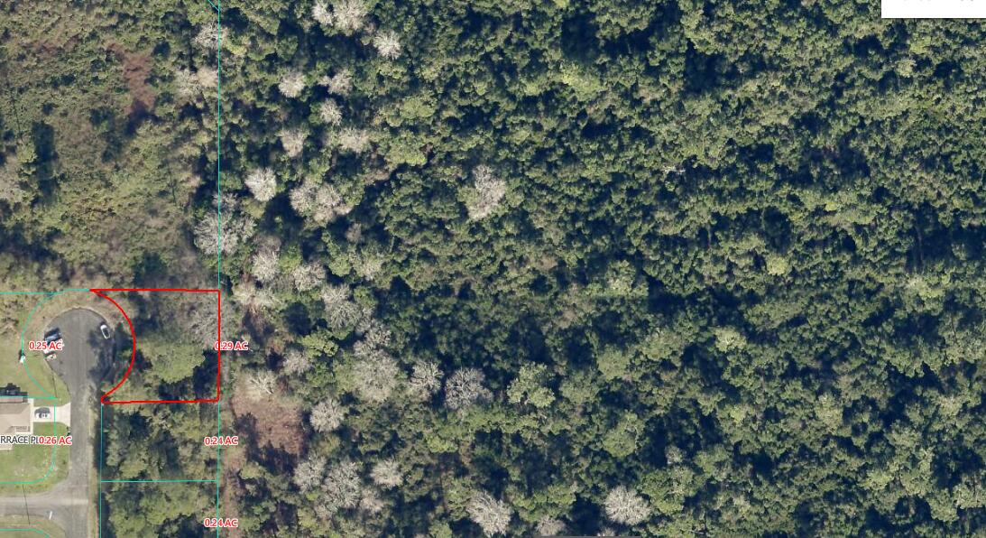 6 Locust Terrace Place Ocala, FL 34472 - Photo 5 of 5 6 Locust Terr