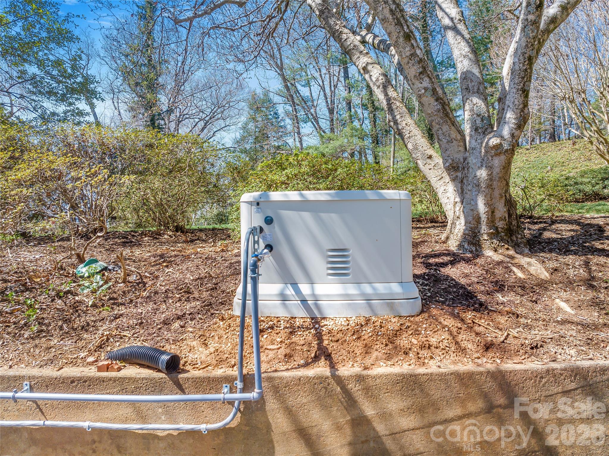 4 Dogwood Road Asheville, NC 28804 - Photo 47 of 48 a view of a tree in the yard