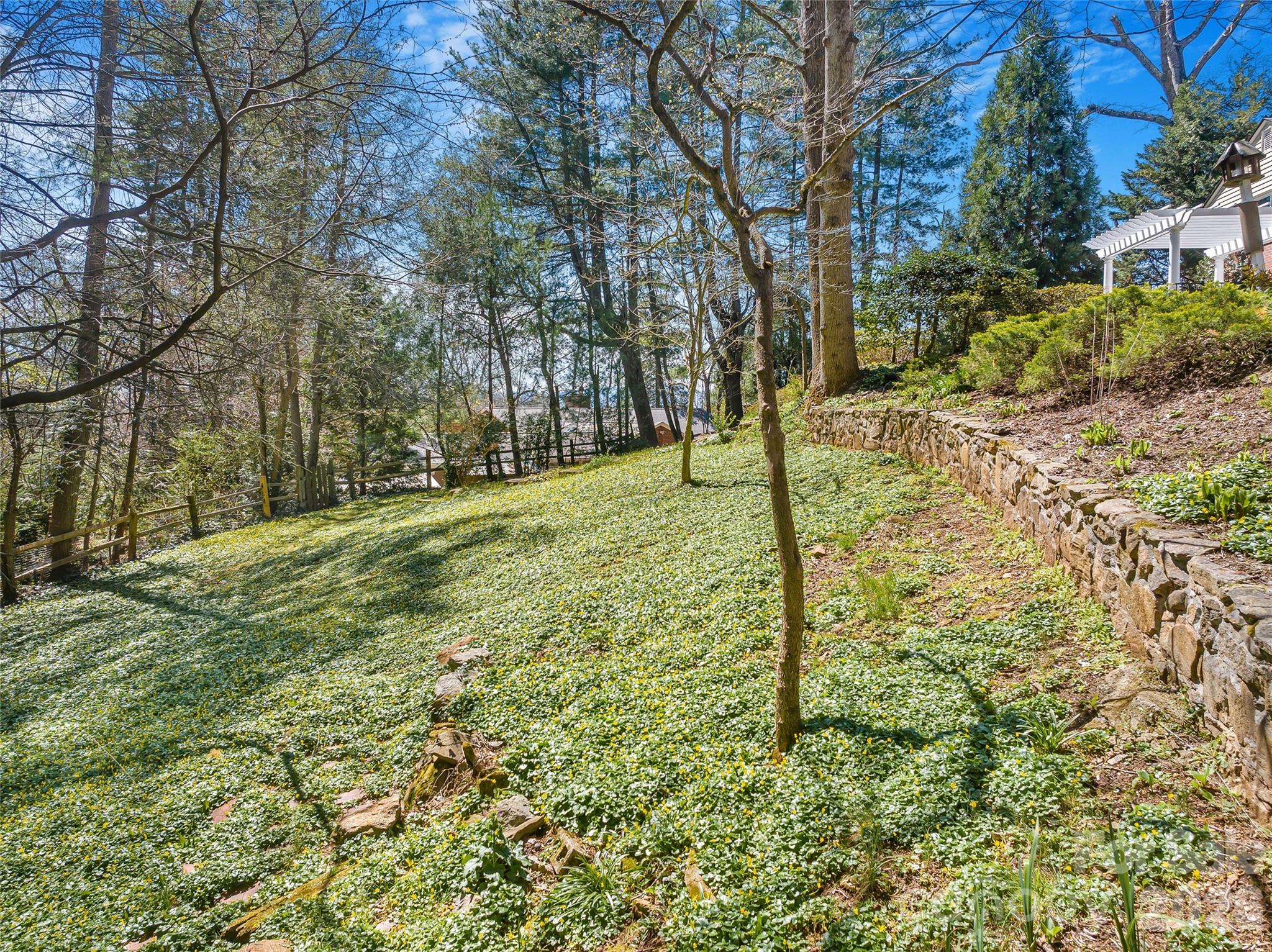 4 Dogwood Road Asheville, NC 28804 - Photo 6 of 48 a view of a trees with a yard
