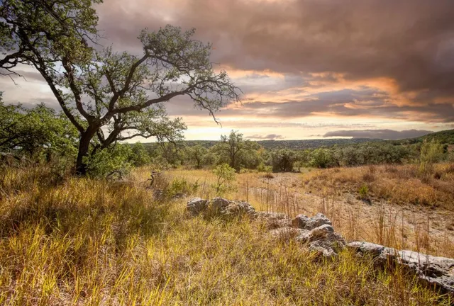 $1,495,000 | 12516 Wire Road, Leander, TX 78641