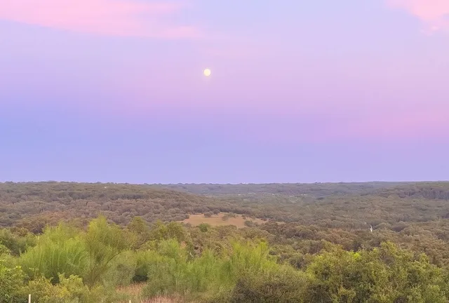 $1,495,000 | 12516 Wire Road, Leander, TX 78641