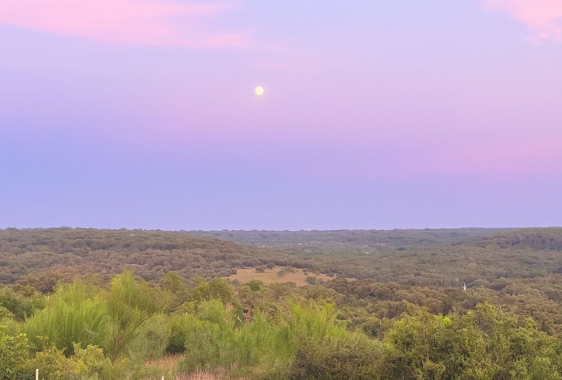 12516 Wire Road Leander, TX 78641 - Photo 26 of 40 a view of city and mountain
