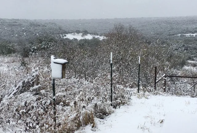 $1,495,000 | 12516 Wire Road, Leander, TX 78641