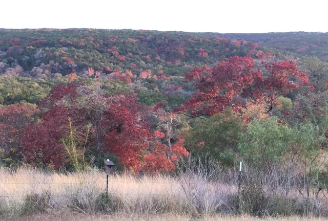 $1,495,000 | 12516 Wire Road, Leander, TX 78641