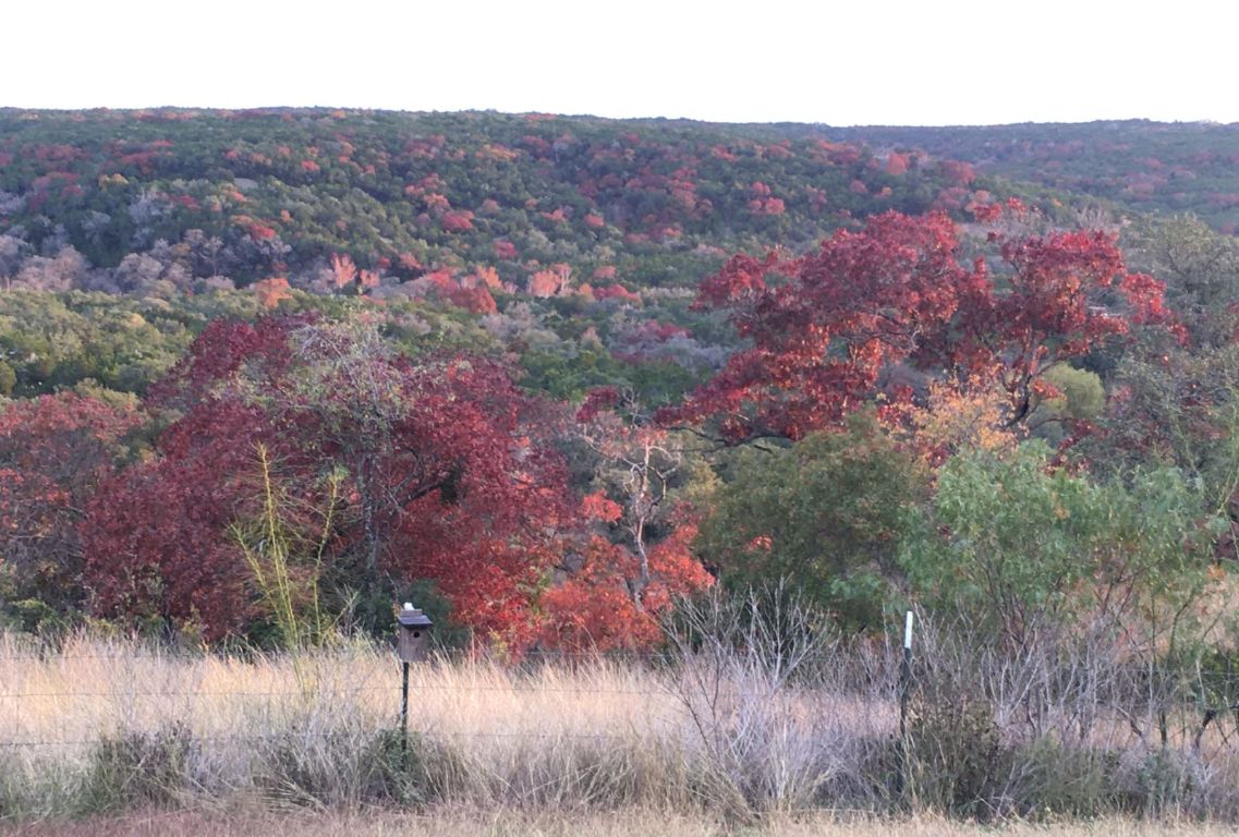 12516 Wire Road Leander, TX 78641 - Photo 34 of 40 a view of a lush green field