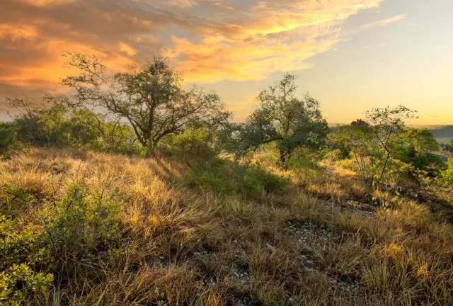 $1,495,000 | 12516 Wire Road, Leander, TX 78641