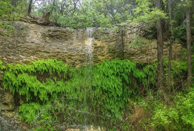 $1,495,000 | 12516 Wire Road, Leander, TX 78641