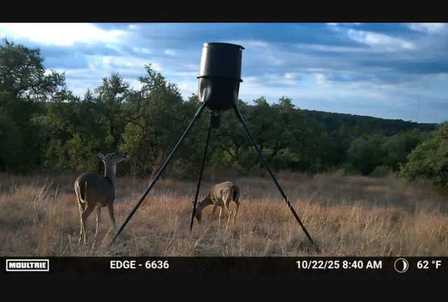 $1,495,000 | 12516 Wire Road, Leander, TX 78641