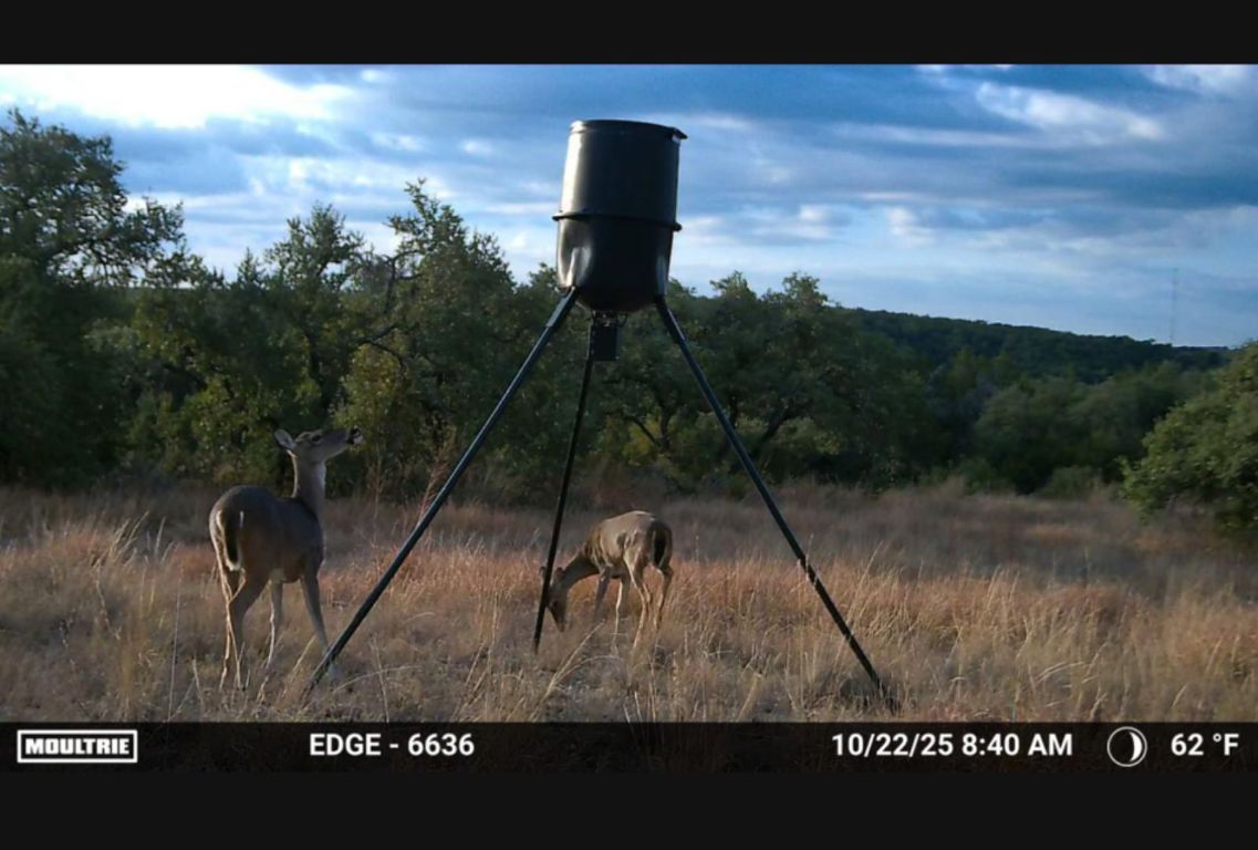 12516 Wire Road Leander, TX 78641 - Photo 6 of 40 a view of a outdoor space