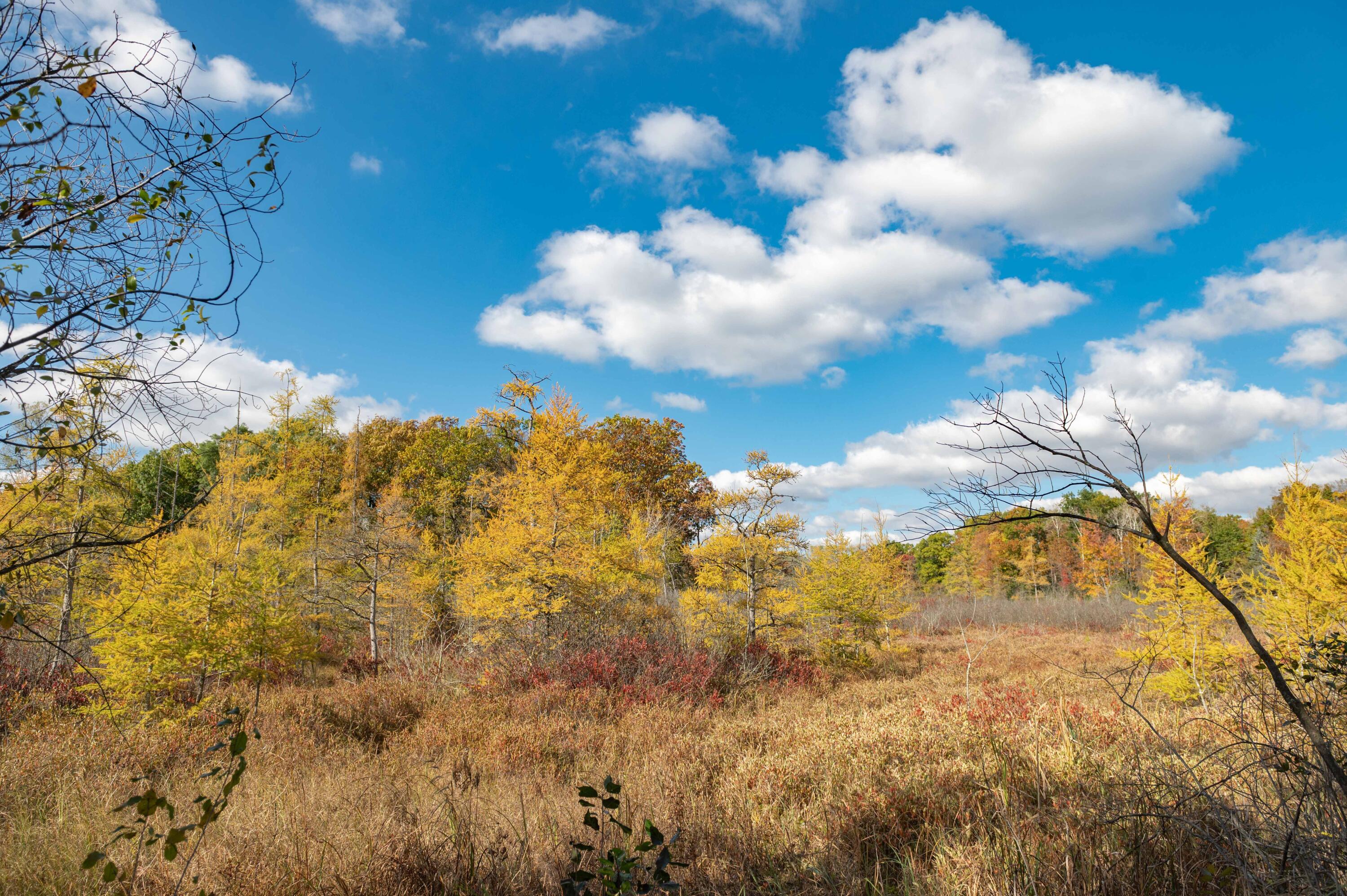 1815 Bark River Drive Delafield, WI 53029 - Photo 39 of 63 Bark River Dr