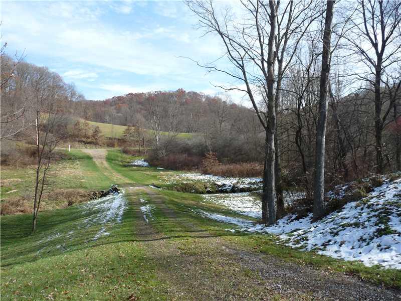 111 Boyd Road Hookstown, PA 15050 - Photo 3 of 20 View. View from home facing road. Check out the privacy that is available to you.