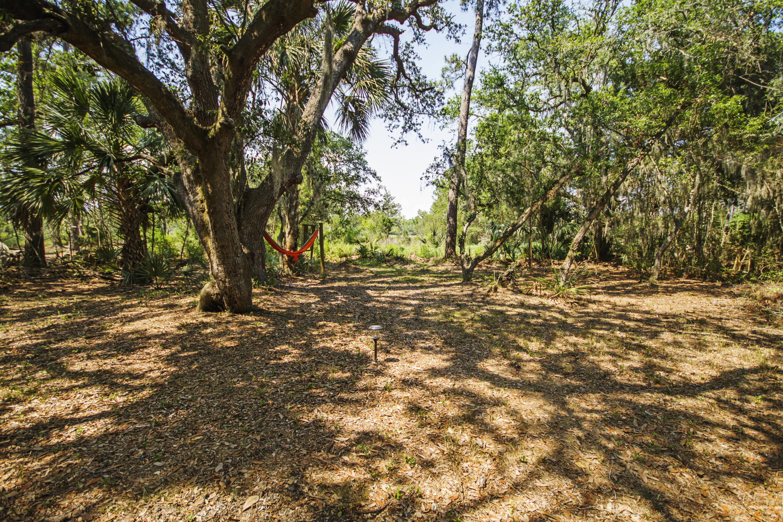 1714 Wappoo Road Charleston, SC 29407 - Photo 29 of 40 1714 Wappoo Rd - Kellen Gatling-0038