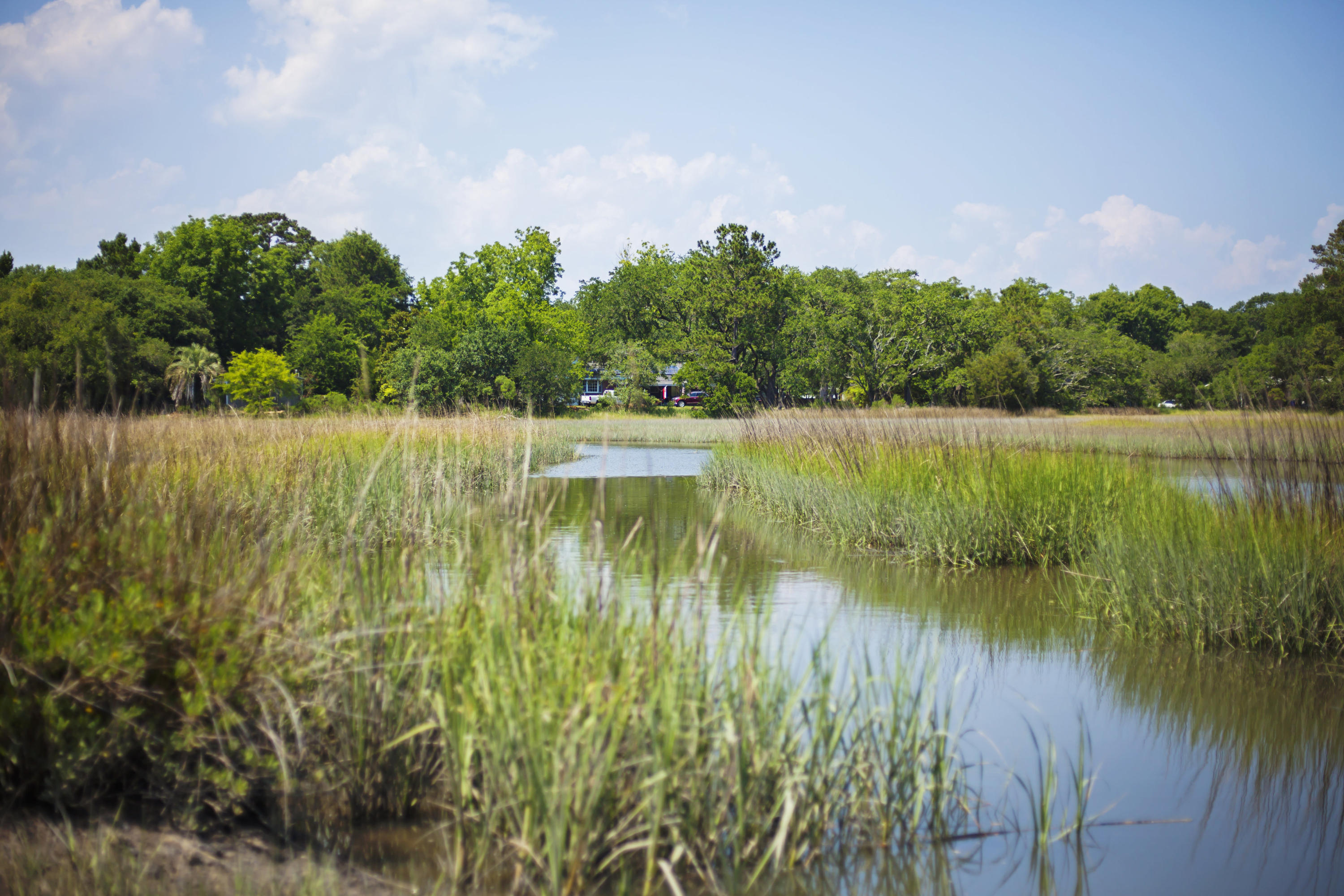 1714 Wappoo Road Charleston, SC 29407 - Photo 6 of 40 1714 Wappoo Rd - Kellen Gatling-0073
