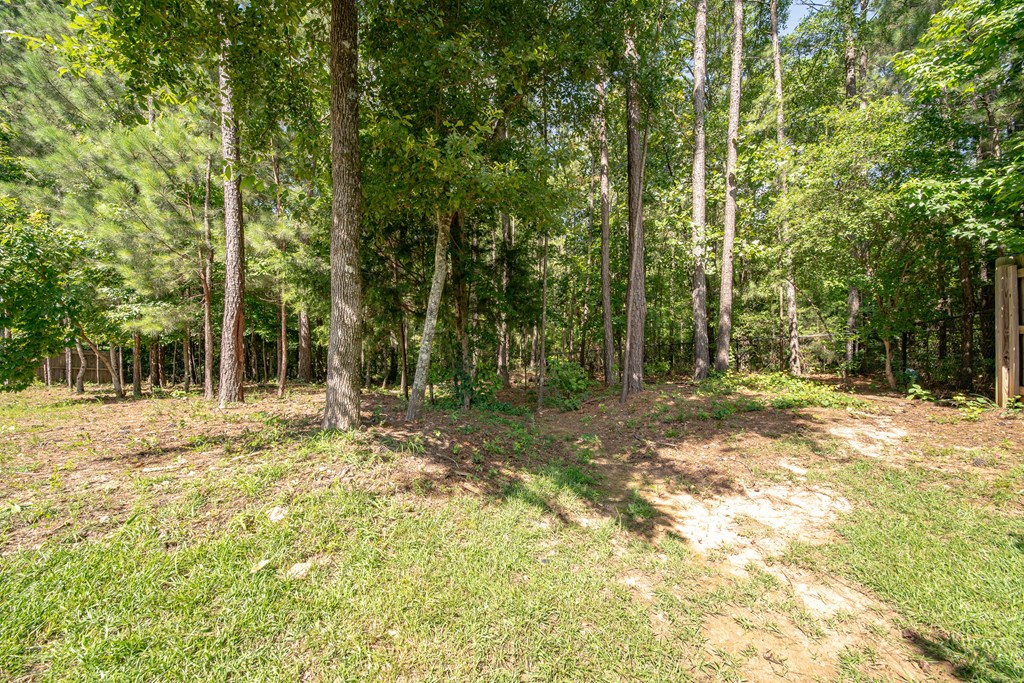 38 Pin Oak Way Hamilton, GA 31811 - Photo 44 of 50 a view of a yard with plants and trees
