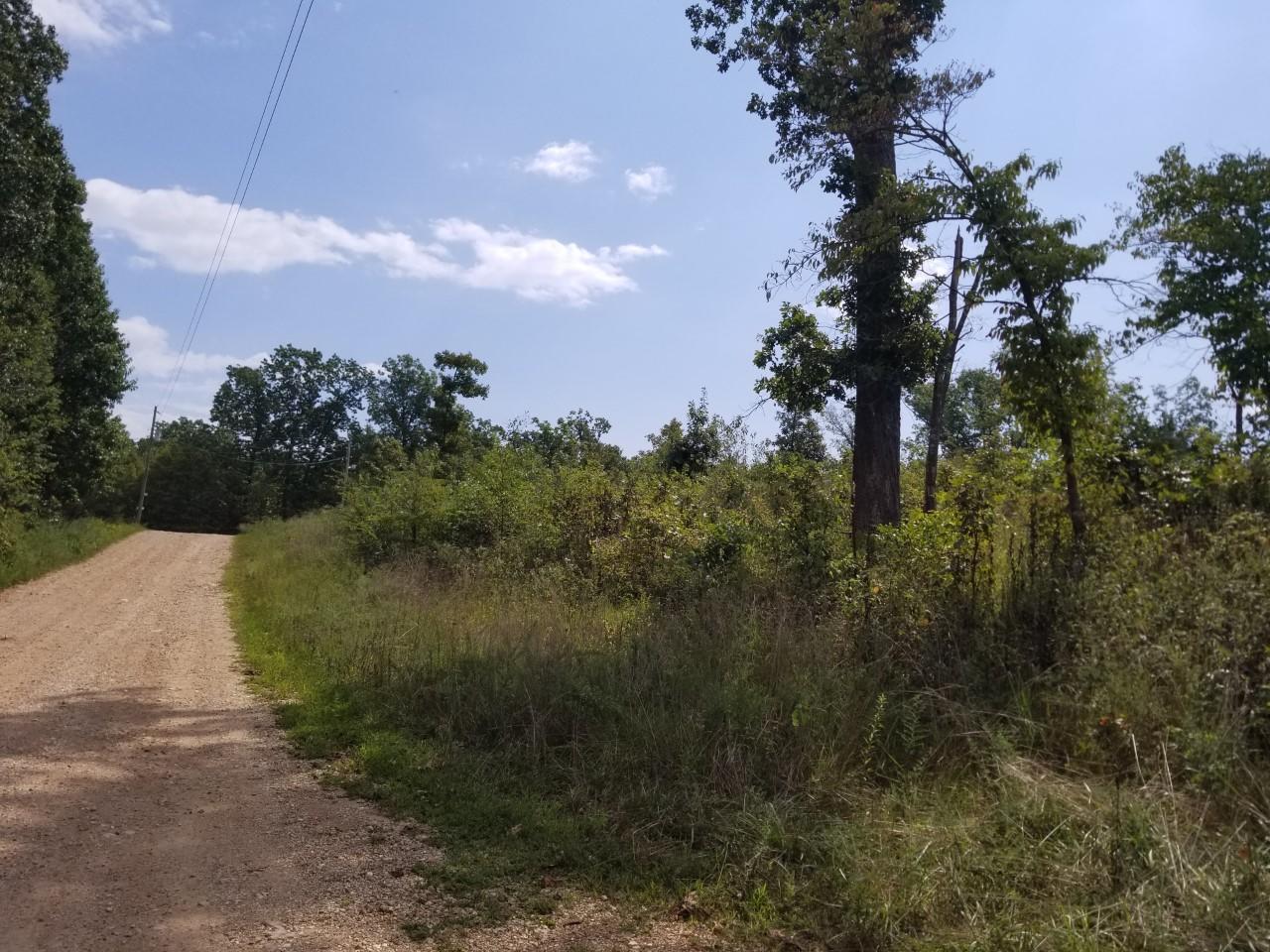 1327 Cyclone Road Pineville, MO 64856 - Photo 1 of 1 thumbnail_20200904_115024