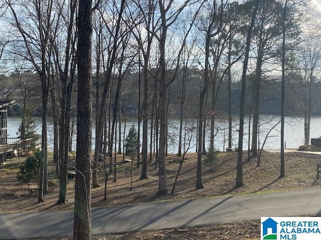 13467 Ski Lake Road McCalla, AL 35111 - Photo 6 of 12