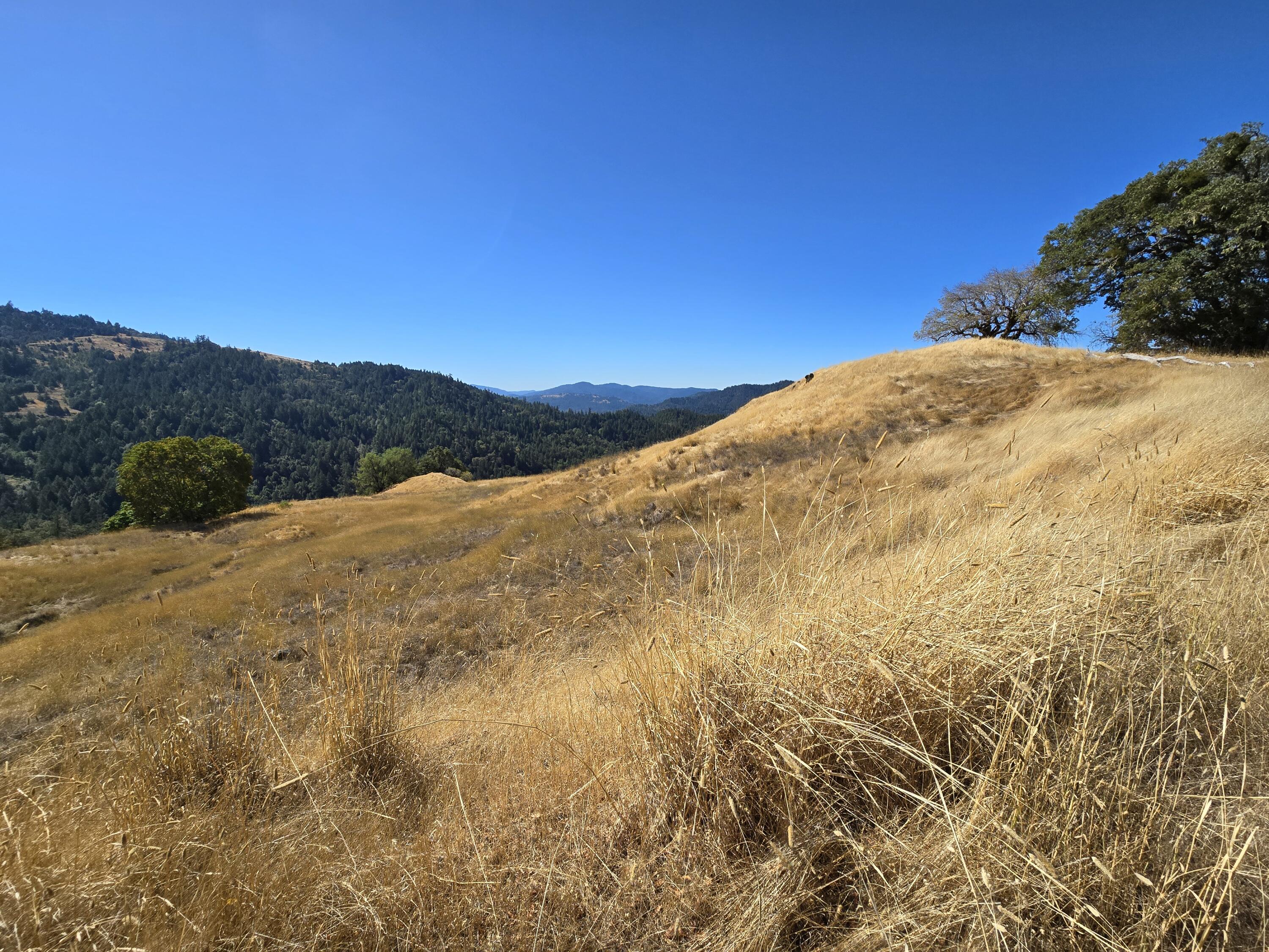 45 Dean Creek Road Redway, CA 95560 - Photo 37 of 70