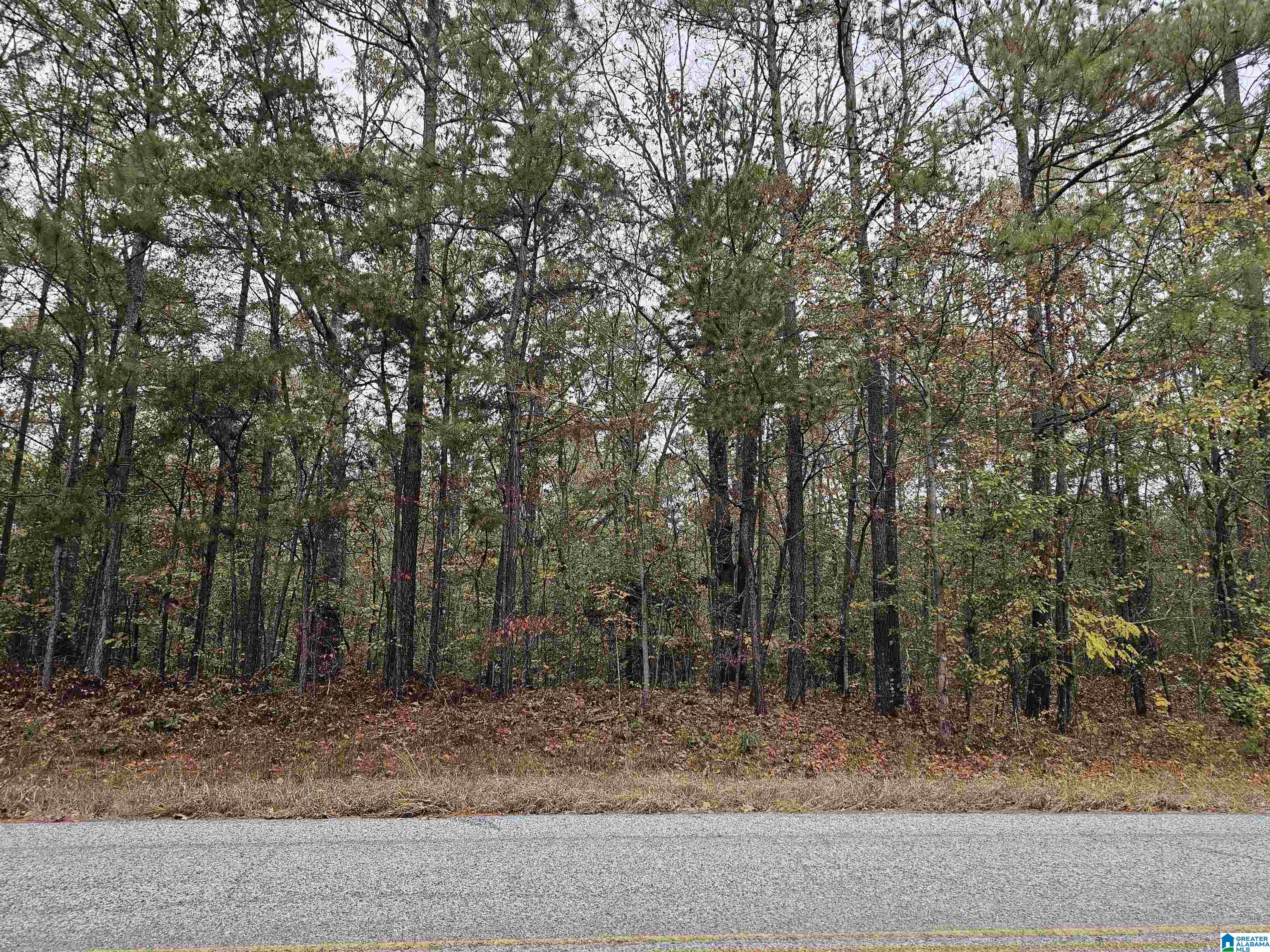 60 County Road 60, Unit 7 2 Heflin, AL 36264 - Photo 1 of 6