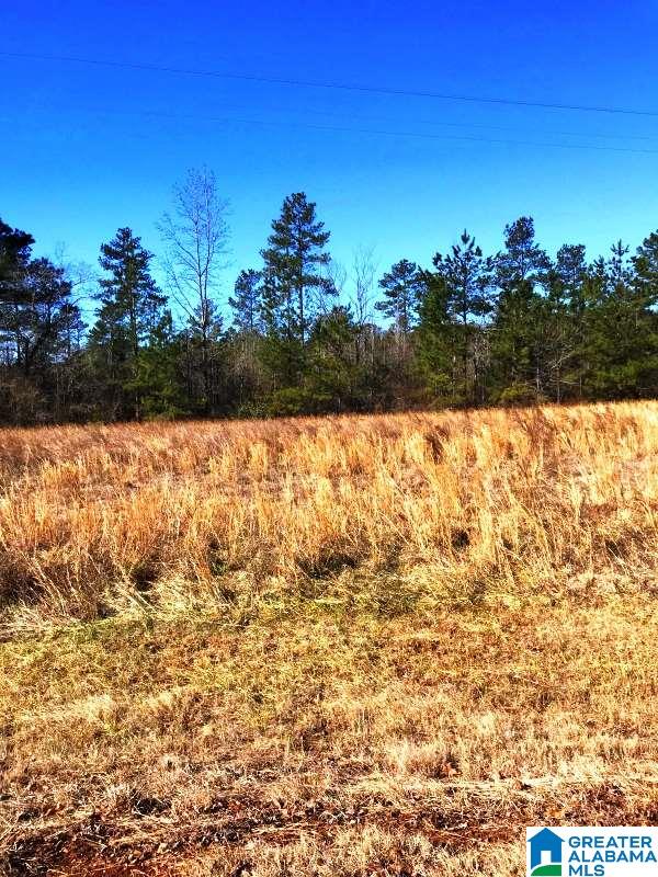 0 Highland Road, Unit 20 5 ACRES Lineville, AL 36266 - Photo 5 of 5