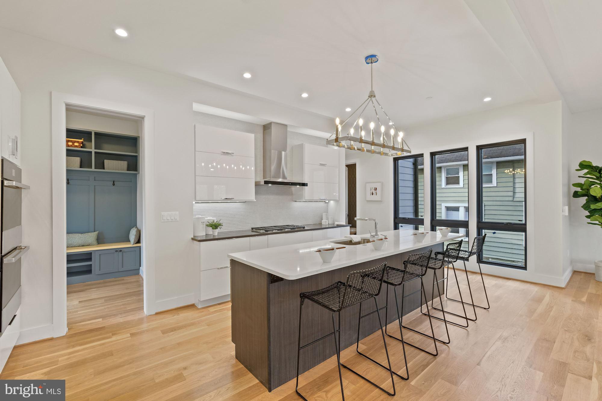 705 Silver Spring Avenue Silver Spring, MD 20910 - Photo 15 of 58 & Blanco-designed single-bowl sink.