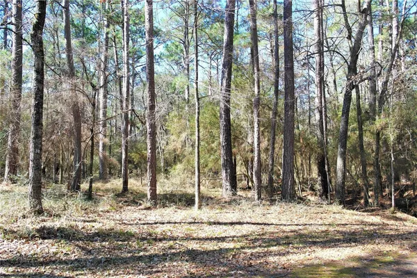 a view of a backyard of the house