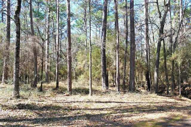 a view of a backyard of the house
