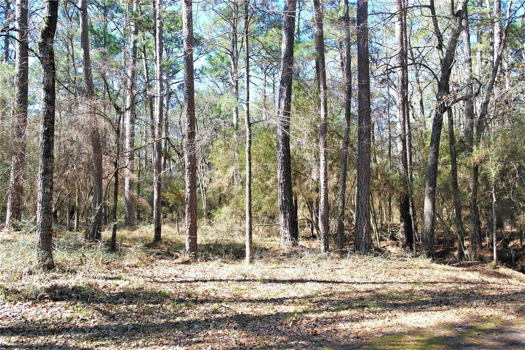a view of a backyard of the house