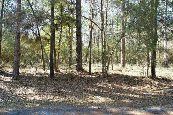 a view of trees with trees
