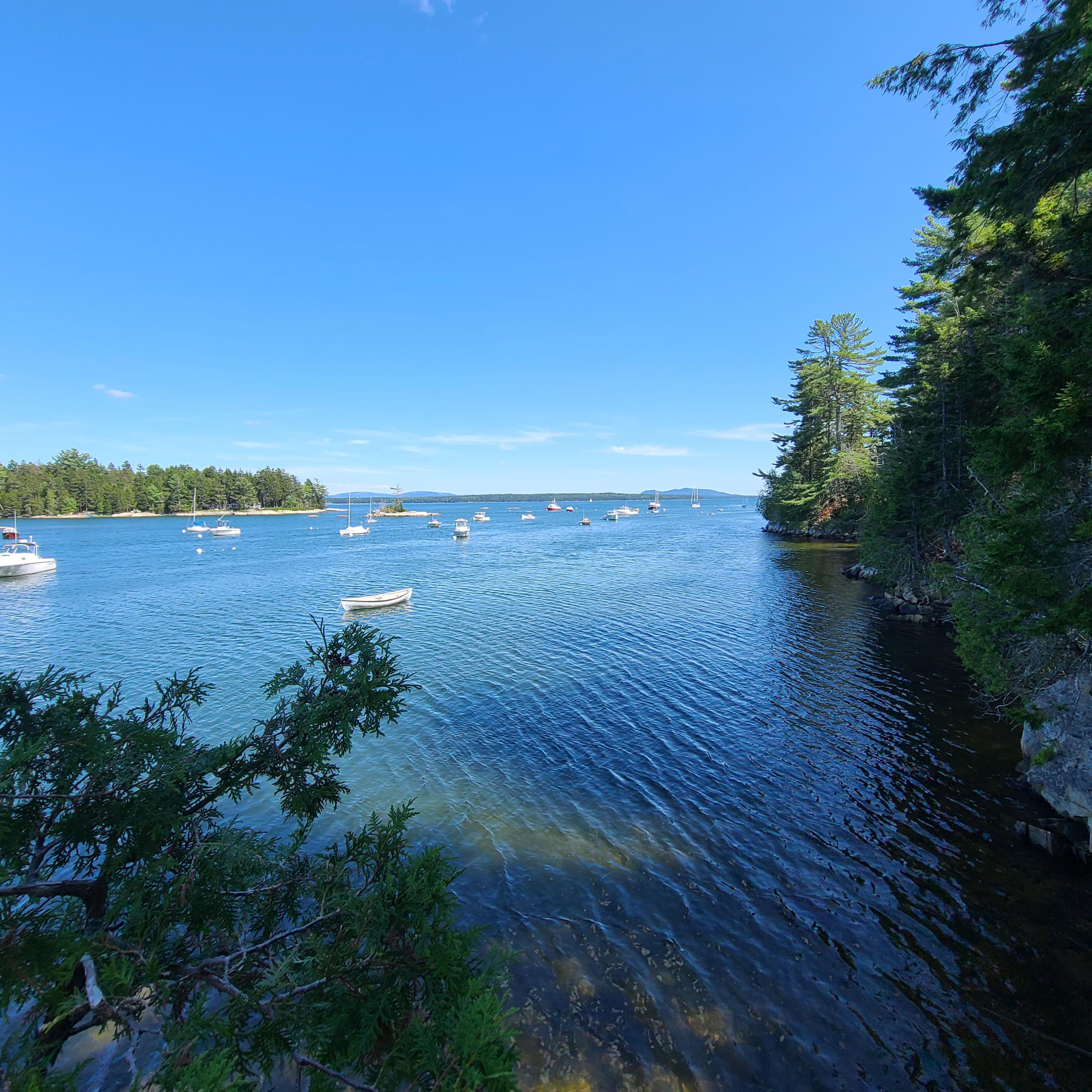 11 Channel Rocks Way Blue Hill, ME 04614 - Photo 26 of 31 Photo 26