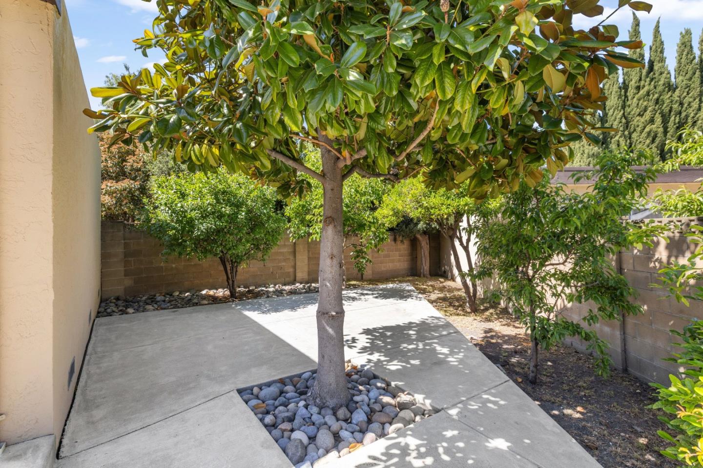 2323 Abaca Way Fremont, CA 94539 - Photo 22 of 28