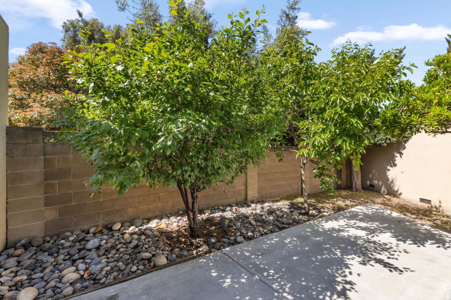 2323 Abaca Way Fremont, CA 94539 - Photo 25 of 28