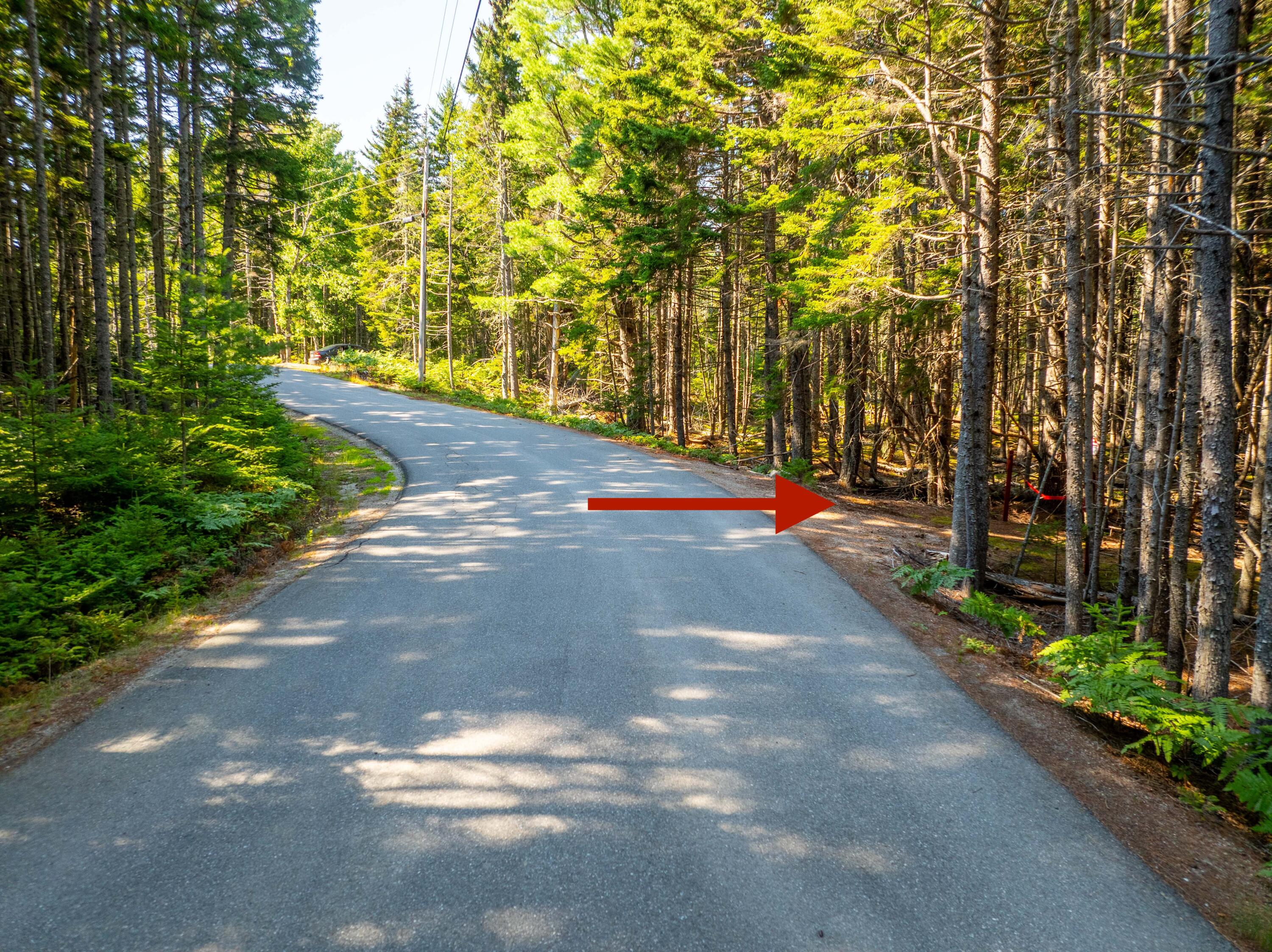 M57-l20 Paul Bunyan Road Corea, ME 04624 - Photo 8 of 25 Driveway from Paul BunyanRoad