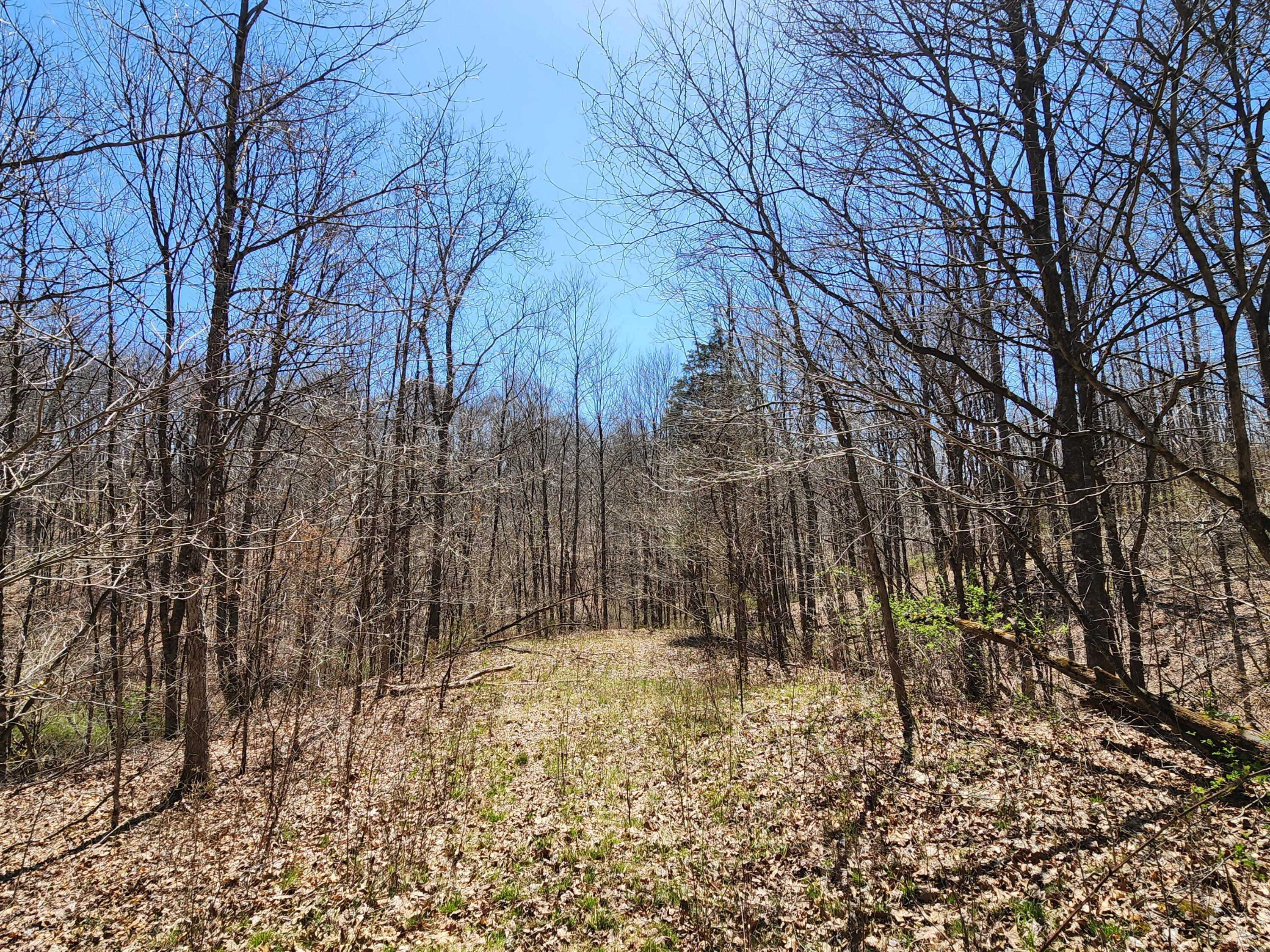 0 Halleys Ridge Road Caldwell, OH 43724 - Photo 29 of 69 20230411_133015