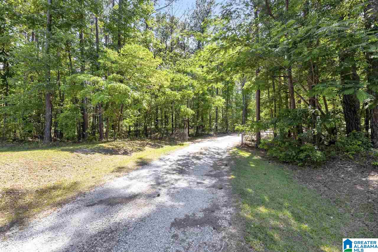 1302 Highway 69 Chelsea, AL 35043 - Photo 41 of 42