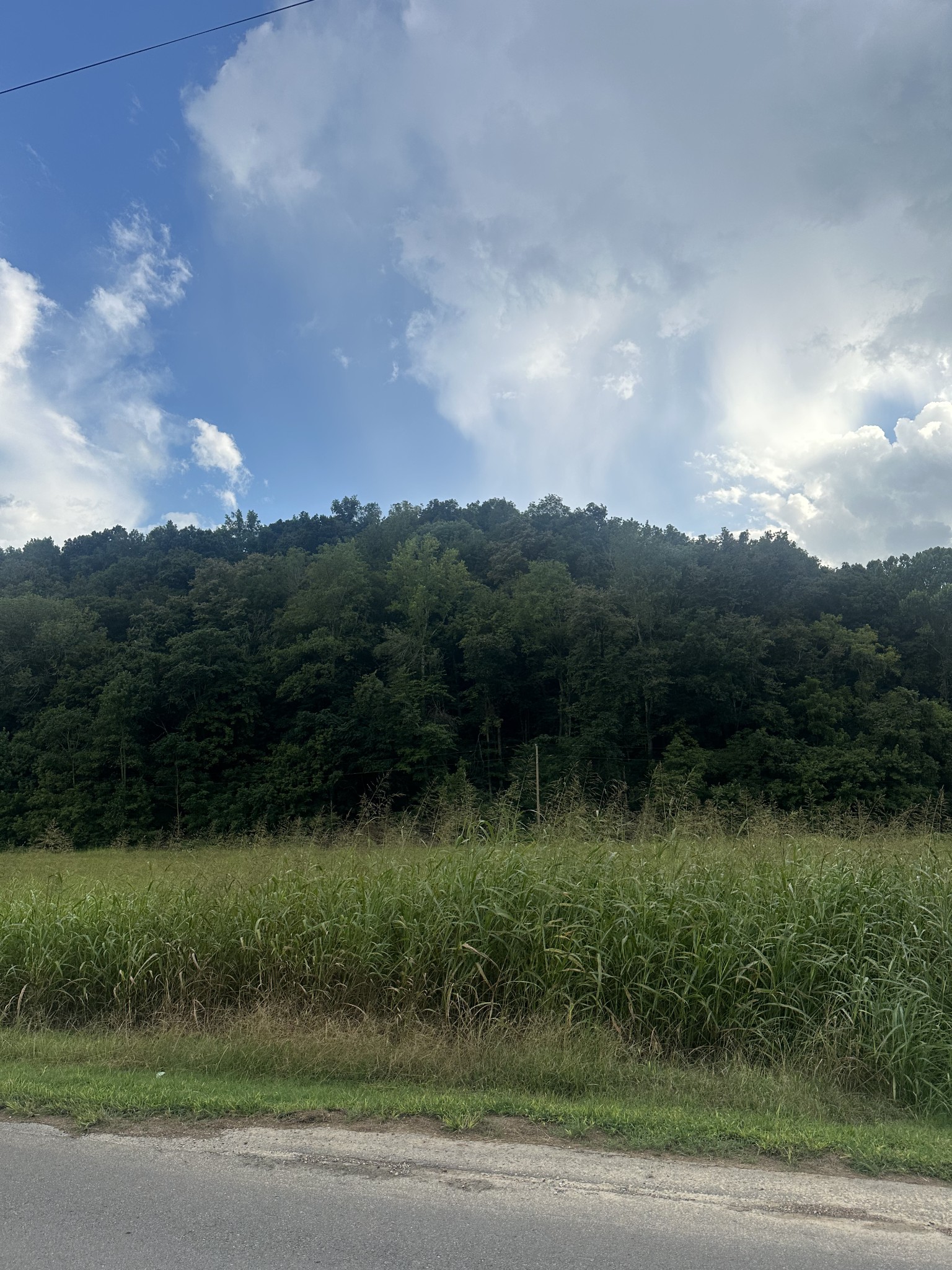 0 Lees Creek Road Fayetteville, TN 37334 - Photo 2 of 3 a view of a garden