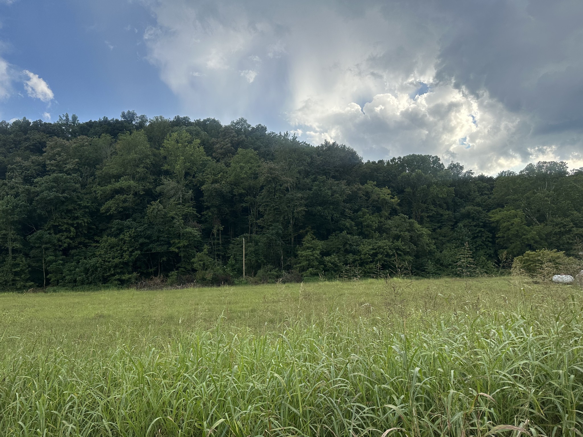 0 Lees Creek Road Fayetteville, TN 37334 - Photo 3 of 3 a view of a green yard
