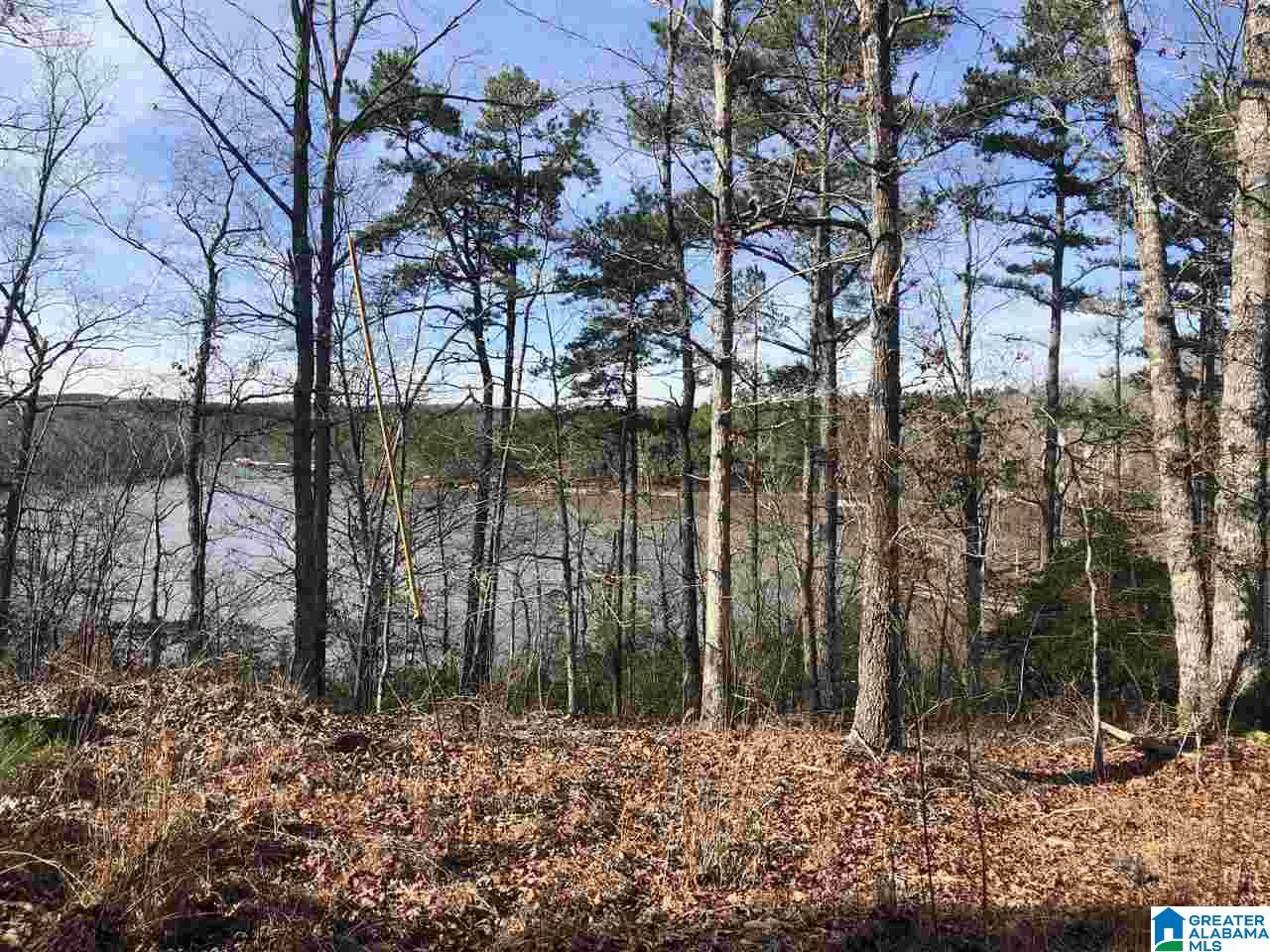 Lot 4 Point View, Unit LOT 4 Wedowee, AL 36278 - Photo 8 of 8