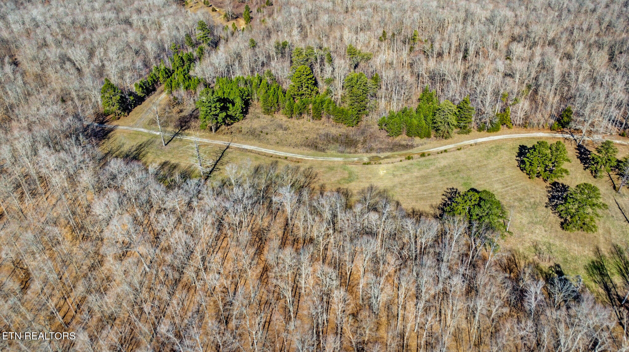 50.31-acre Robbinstown Road Byrdstown, TN 38549 - Photo 16 of 60 dji_0379-dji_0381