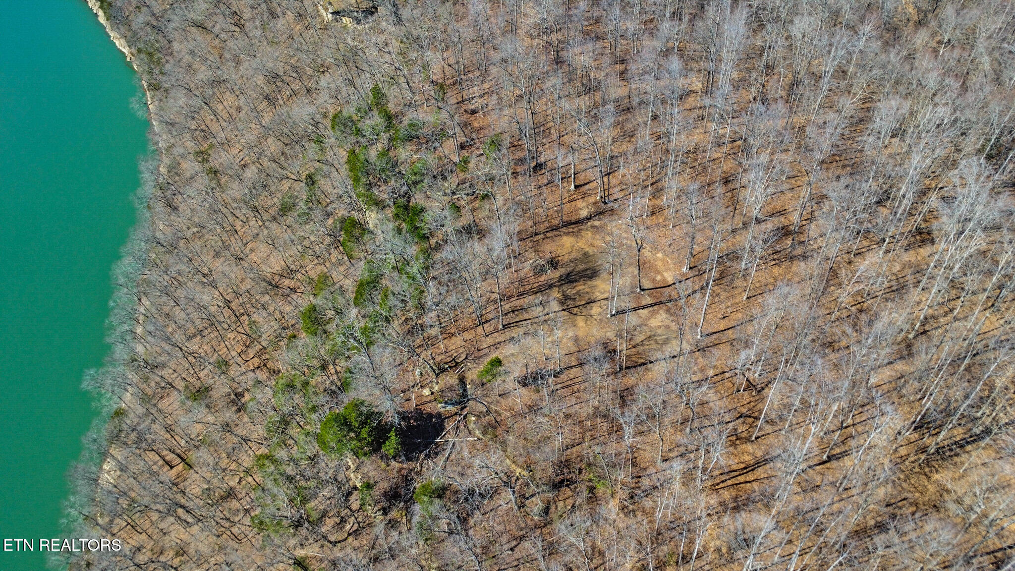 50.31-acre Robbinstown Road Byrdstown, TN 38549 - Photo 19 of 60 dji_0398-dji_0400