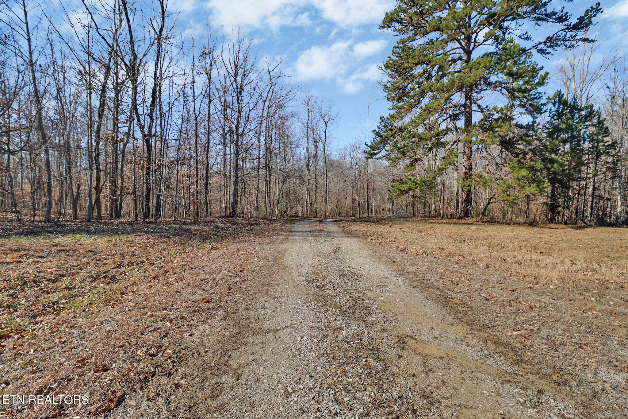 50.31-acre Robbinstown Road Byrdstown, TN 38549 - Photo 24 of 60 if1a1506-if1a1510