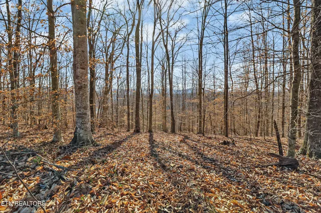 $525,000 | 50.31-acre Robbinstown Road, Byrdstown, TN 38549