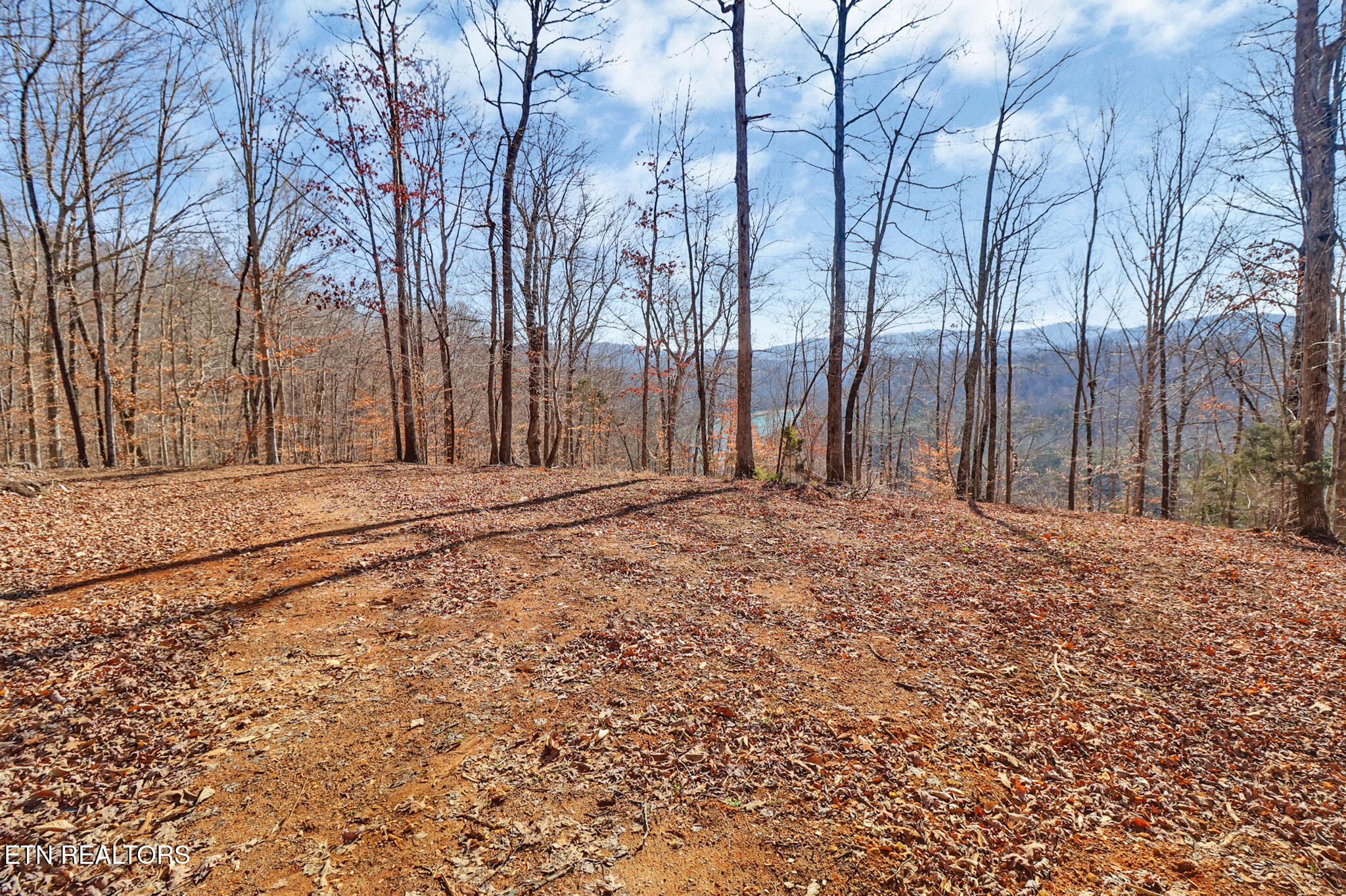 50.31-acre Robbinstown Road Byrdstown, TN 38549 - Photo 32 of 60 if1a1551-if1a1555